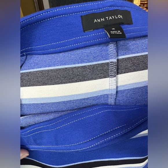 Ann Taylor NWOT Blue & Cream Stripes Knit Skirt - Picture 5 of 12
